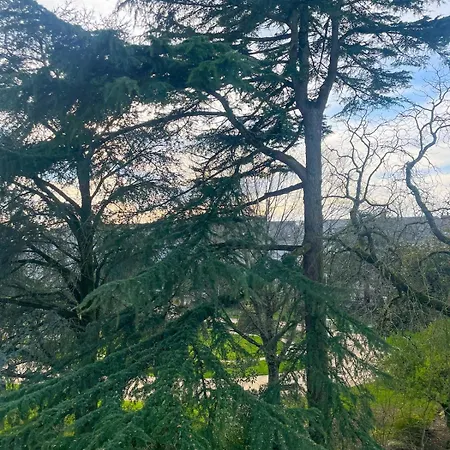 Au Coeur De La Roche-sur-Yon